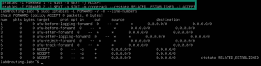 How to define accept rules for Linux iptables.